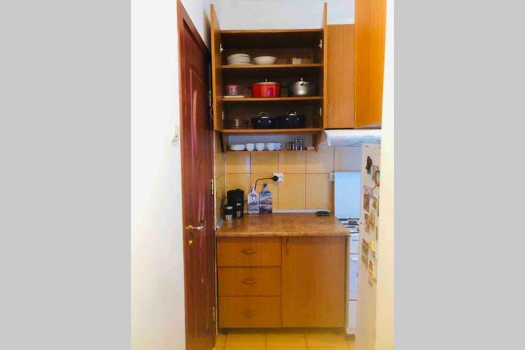 Super Central - Lovely One-Bedroom Apartment On Victoriei Avenue Bükreş Dış mekan fotoğraf