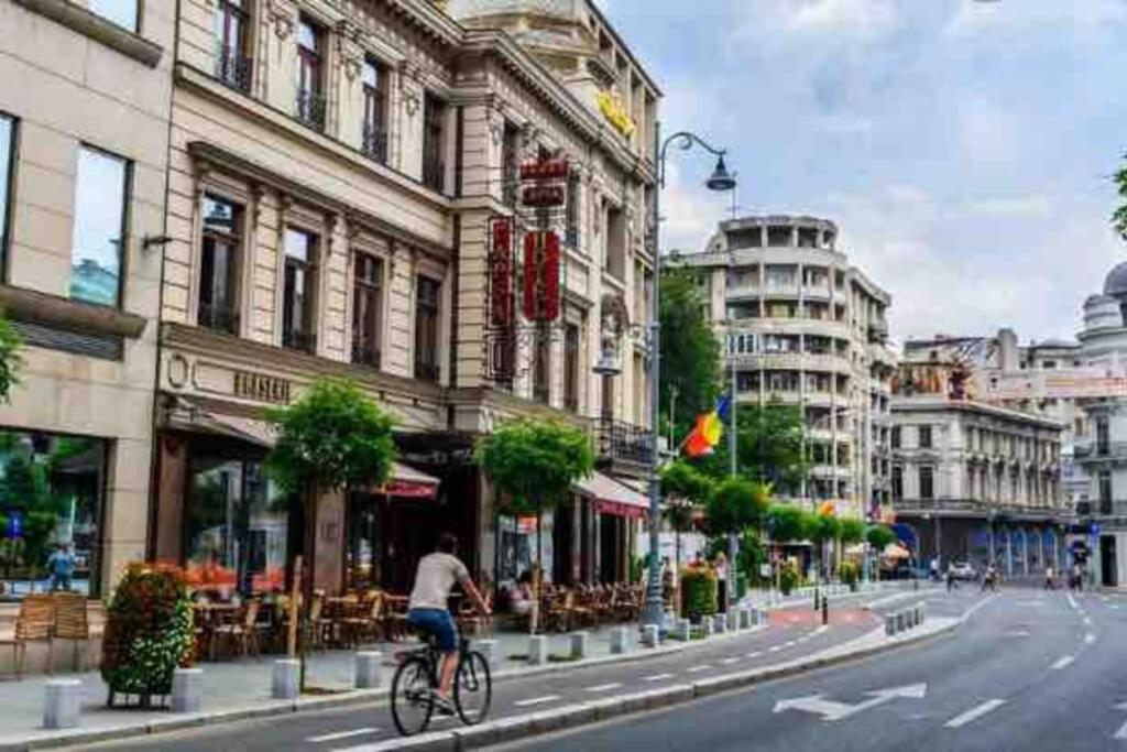 Super Central - Lovely One-Bedroom Apartment On Victoriei Avenue Bükreş Dış mekan fotoğraf